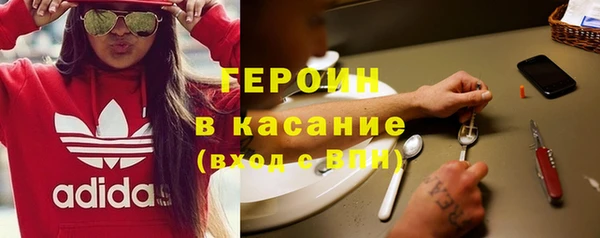 прущие грибы Пересвет
