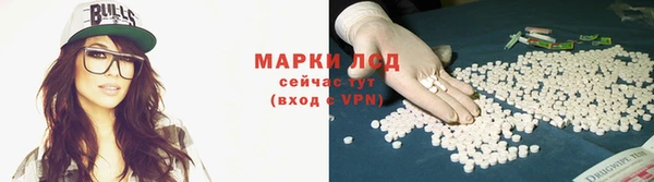 прущие грибы Пересвет