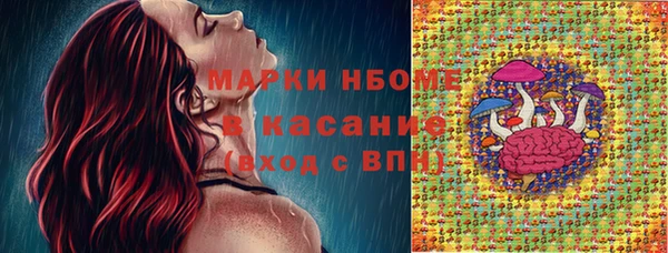 прущие грибы Пересвет