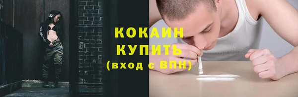 прущие грибы Пересвет